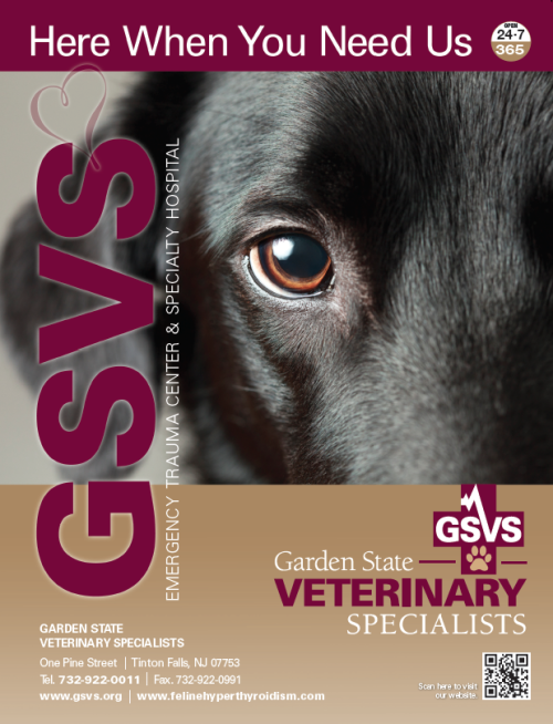 Brochures and Flyers, GSVS Cover