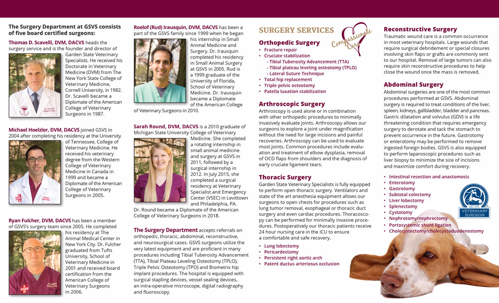 GSVS Surgery Brochure