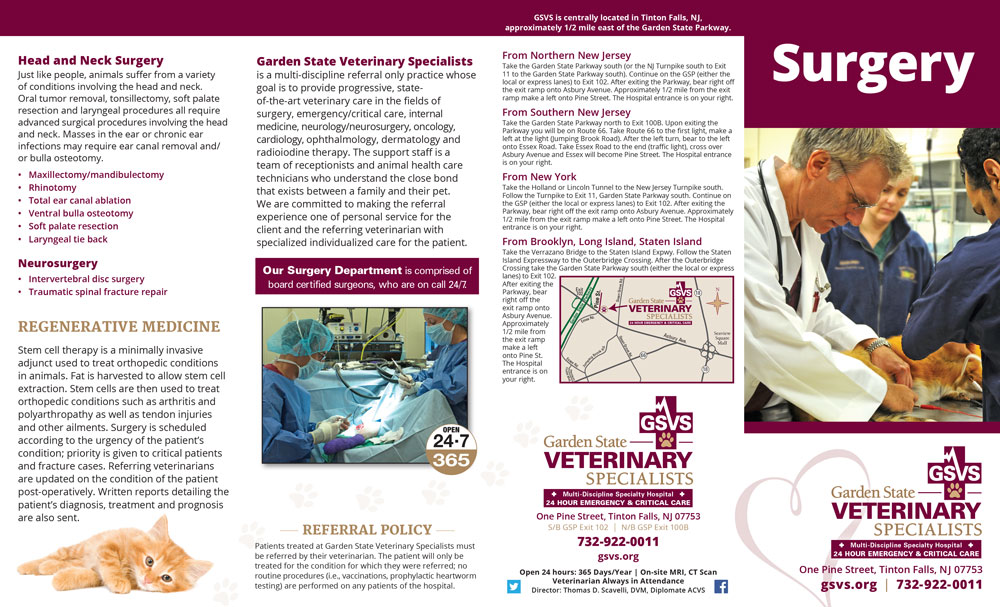 GSVS Surgery Brochure