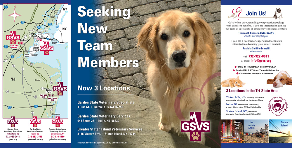 Brochures and flyers, GSVS New Member Brochure