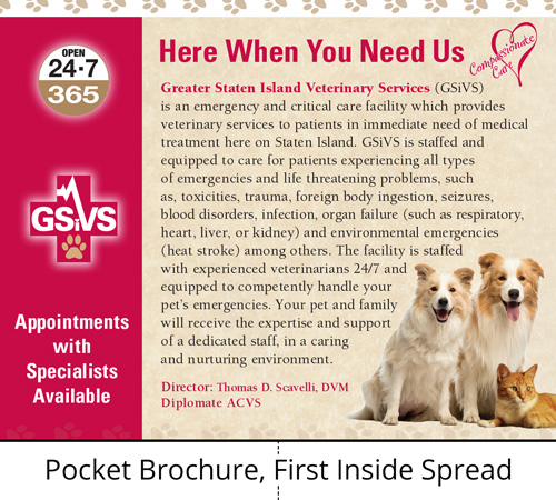 Brochures and Flyers, GSiVS Pocket Brochure