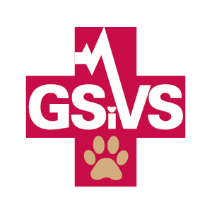 GSiVS, icon, Logo Design