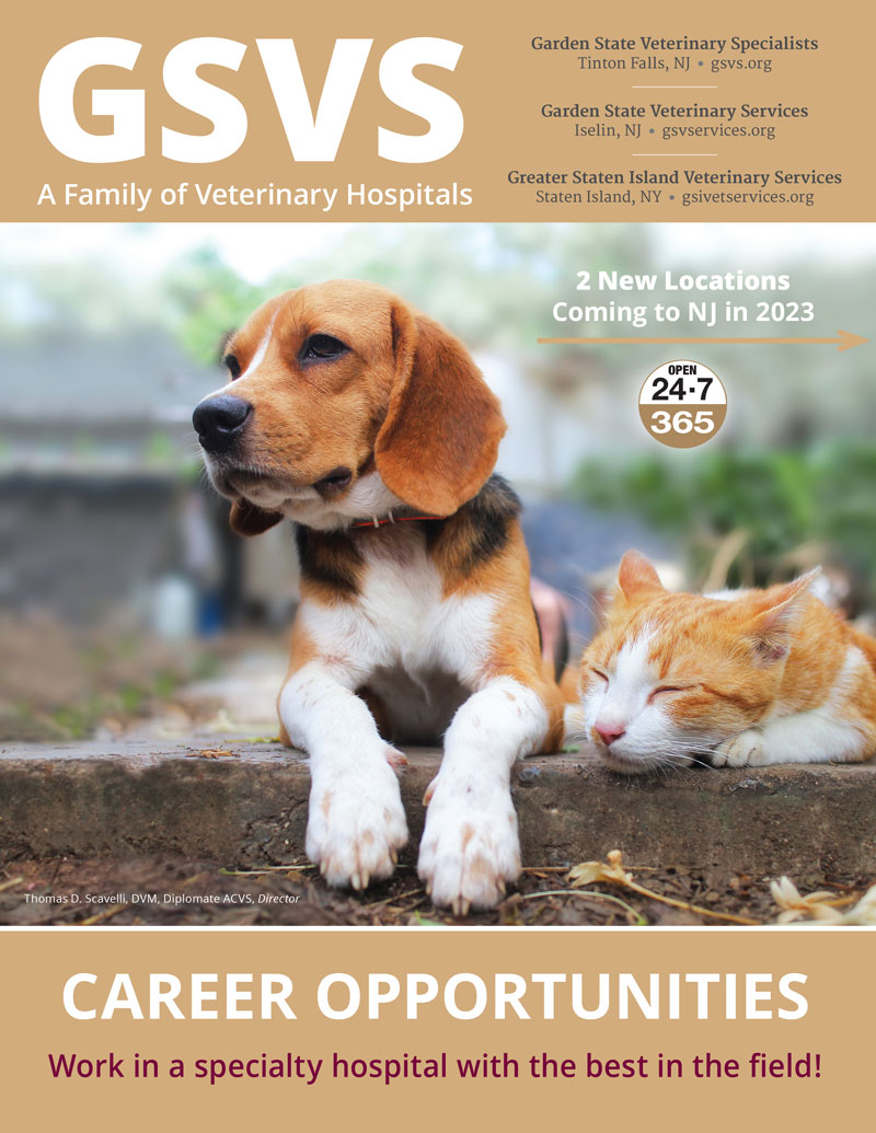 GSVS Career Flyer_2022 Front